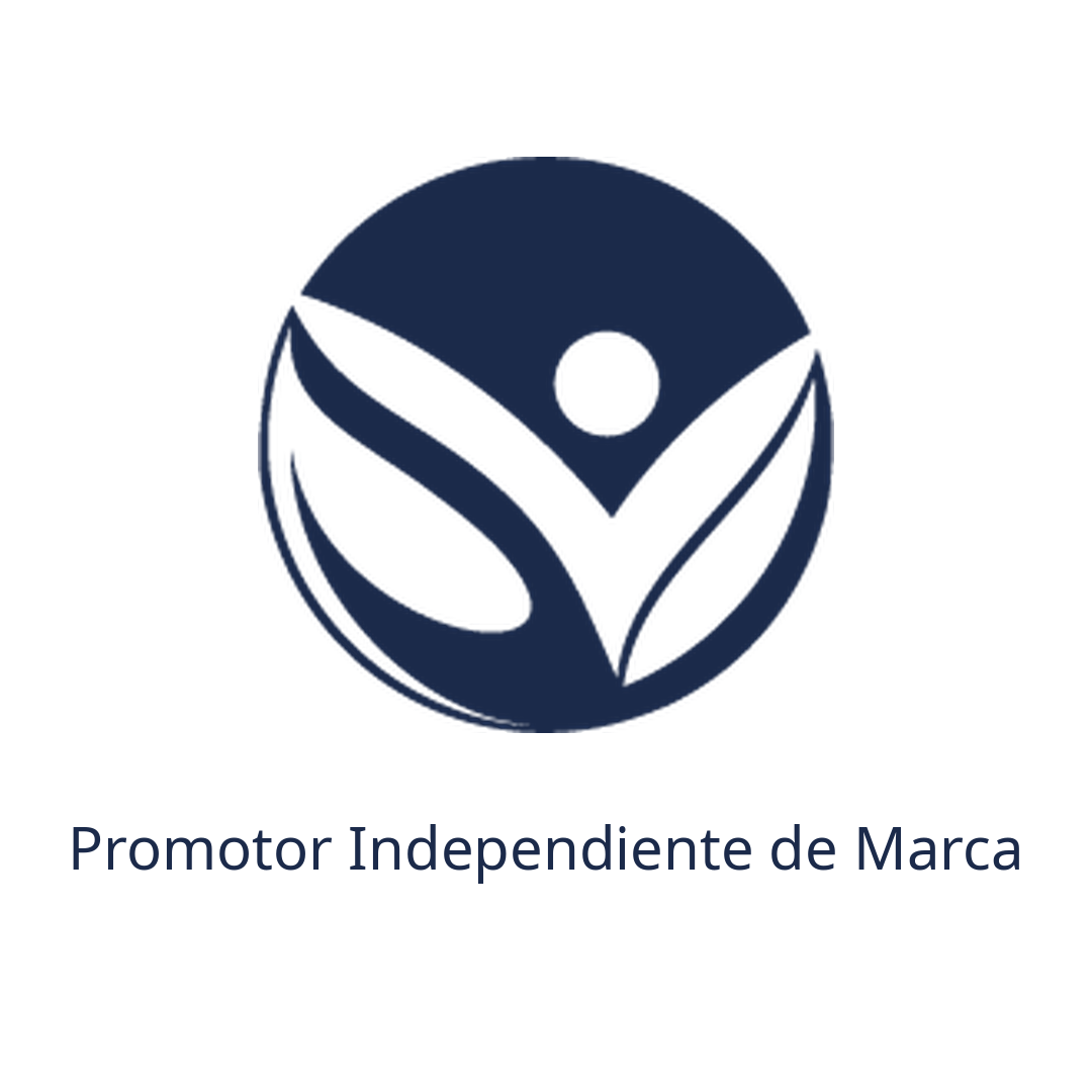 Icon Spanish Navy